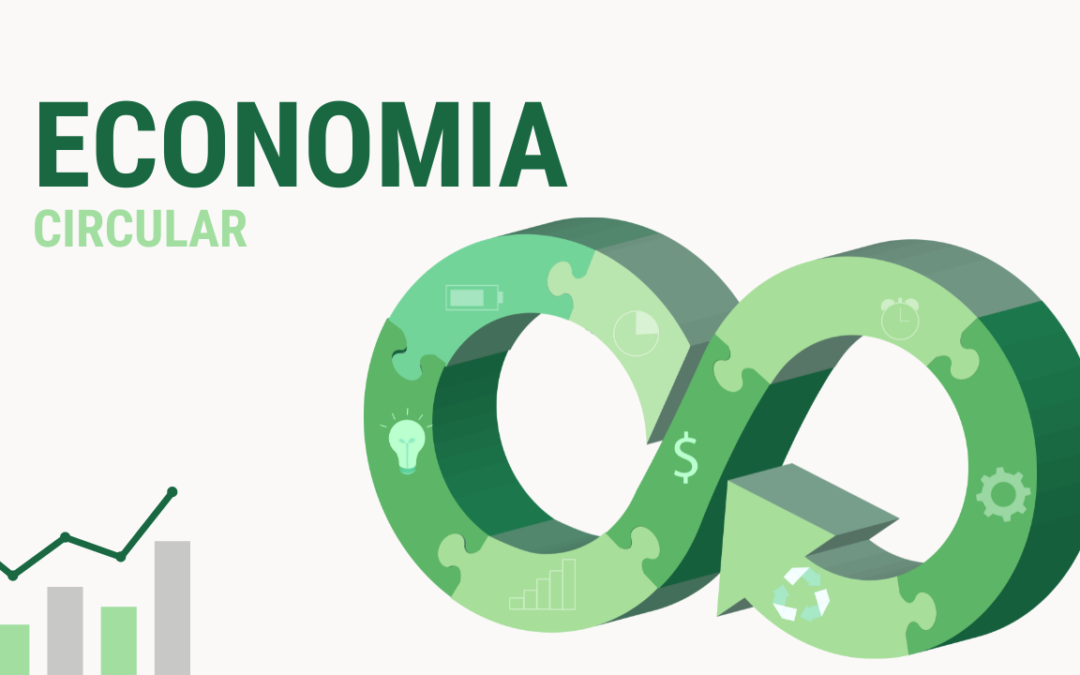 Economía Circular: La Clave para Negocios Innovadores y Sostenibles